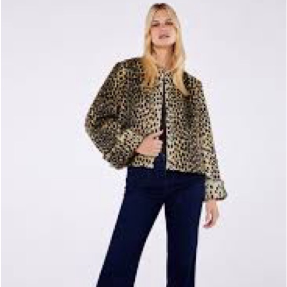 Charlotte Simone - Shirley Coat - Leopard Print - XL - NWT - Picture 4 of 15